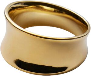 Reflection Ring