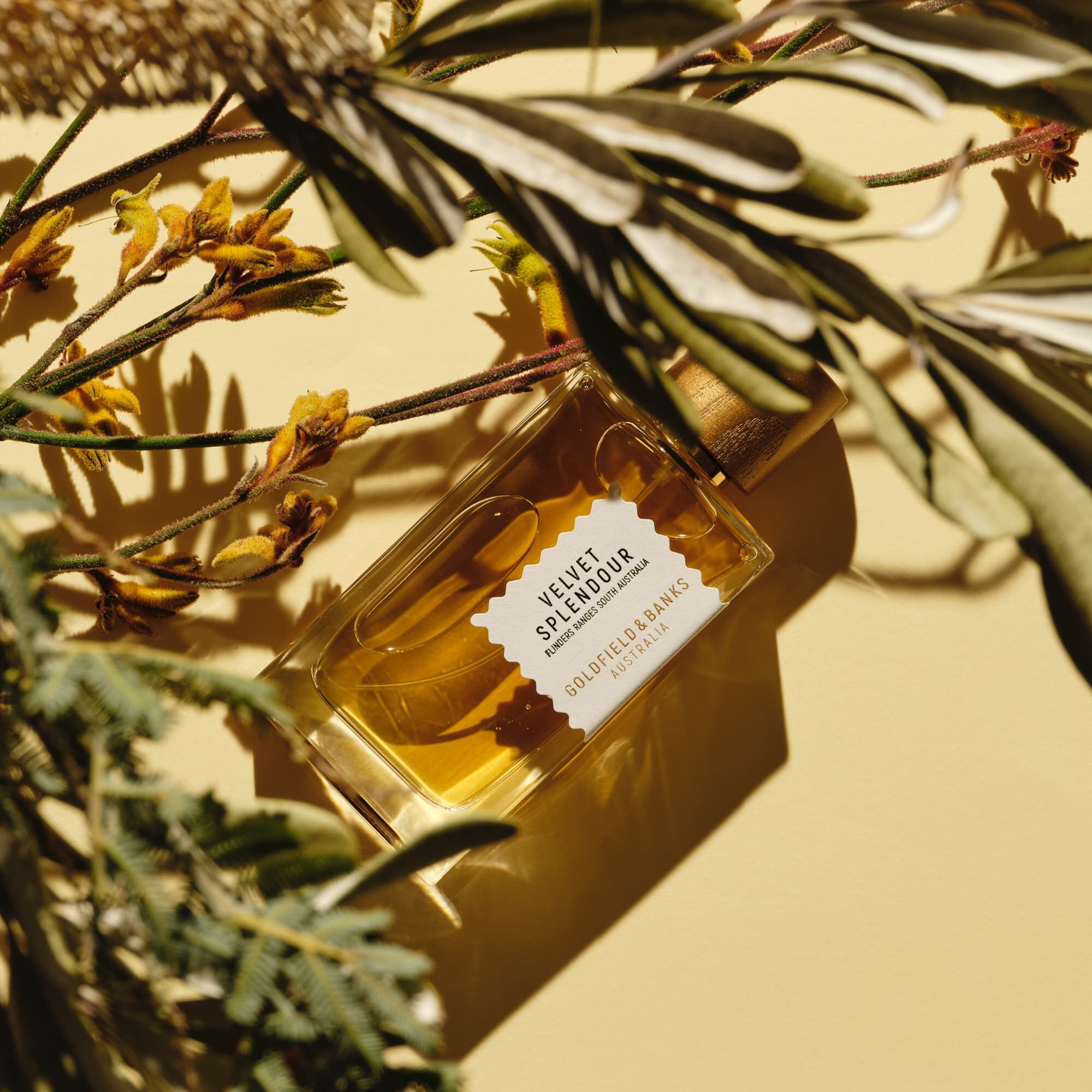 VELVET SPLENDOUR Perfume 100ml