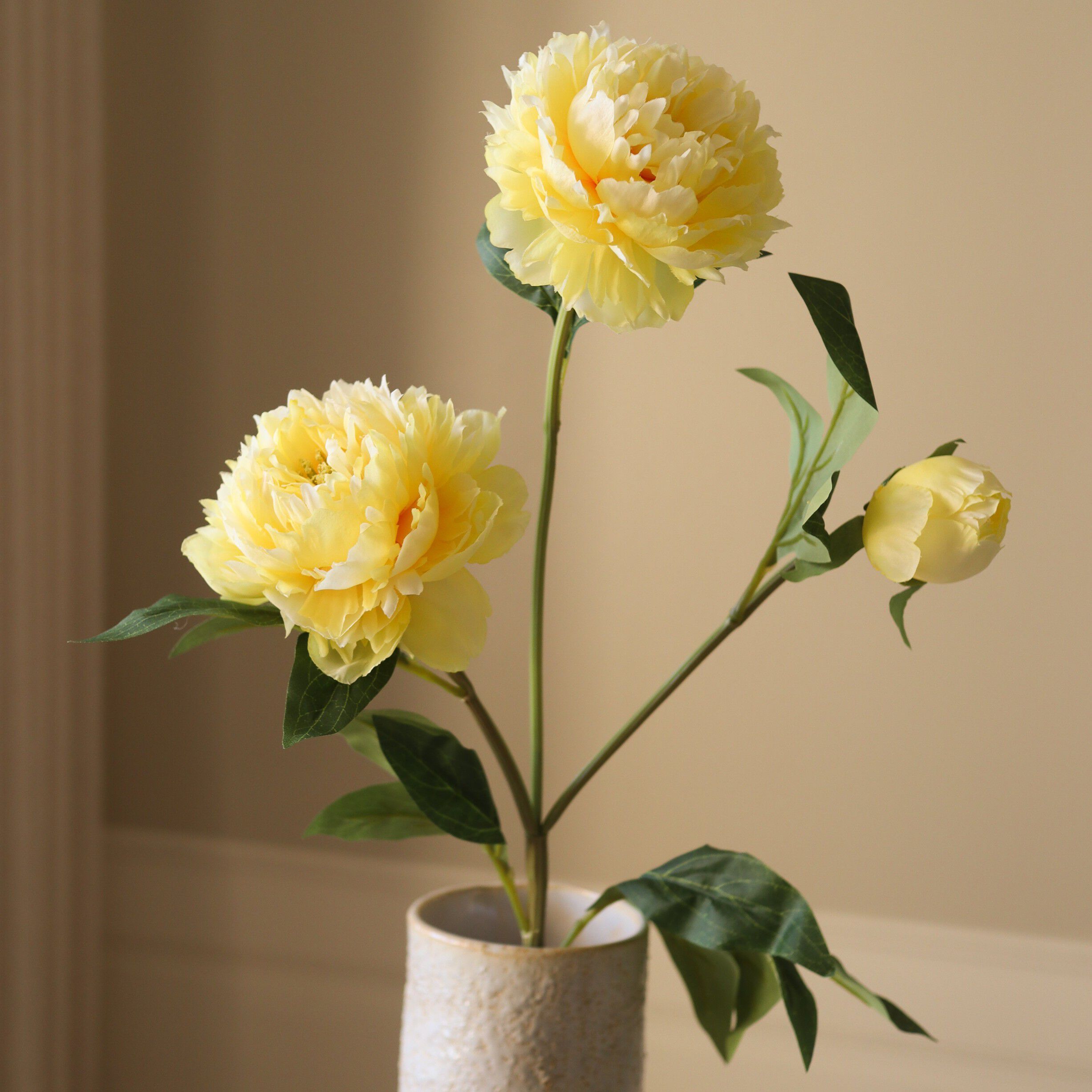Peony Flower