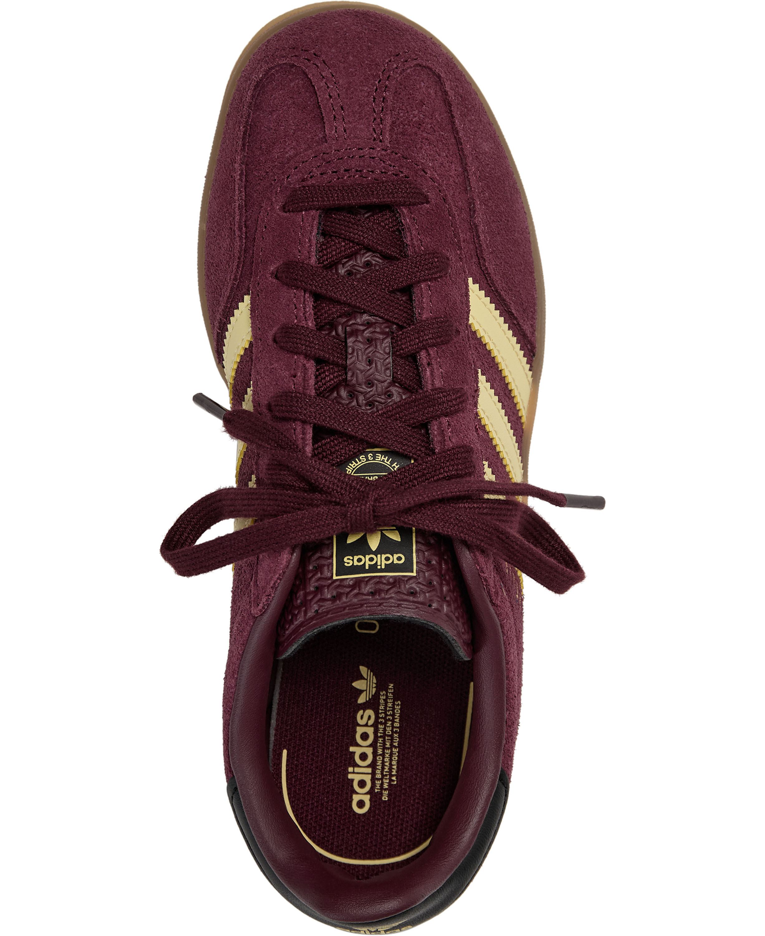 GAZELLE INDOOR C