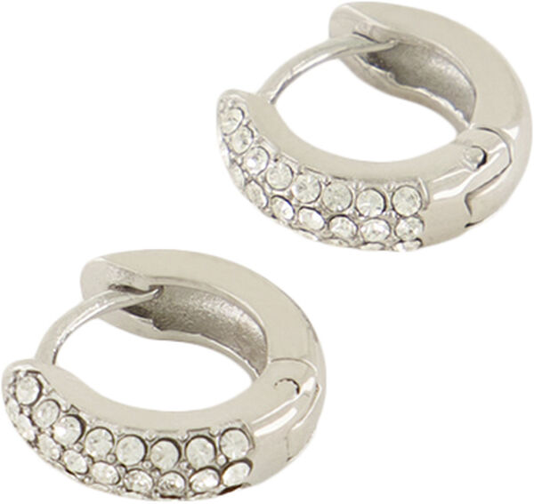 Earrings with crystals