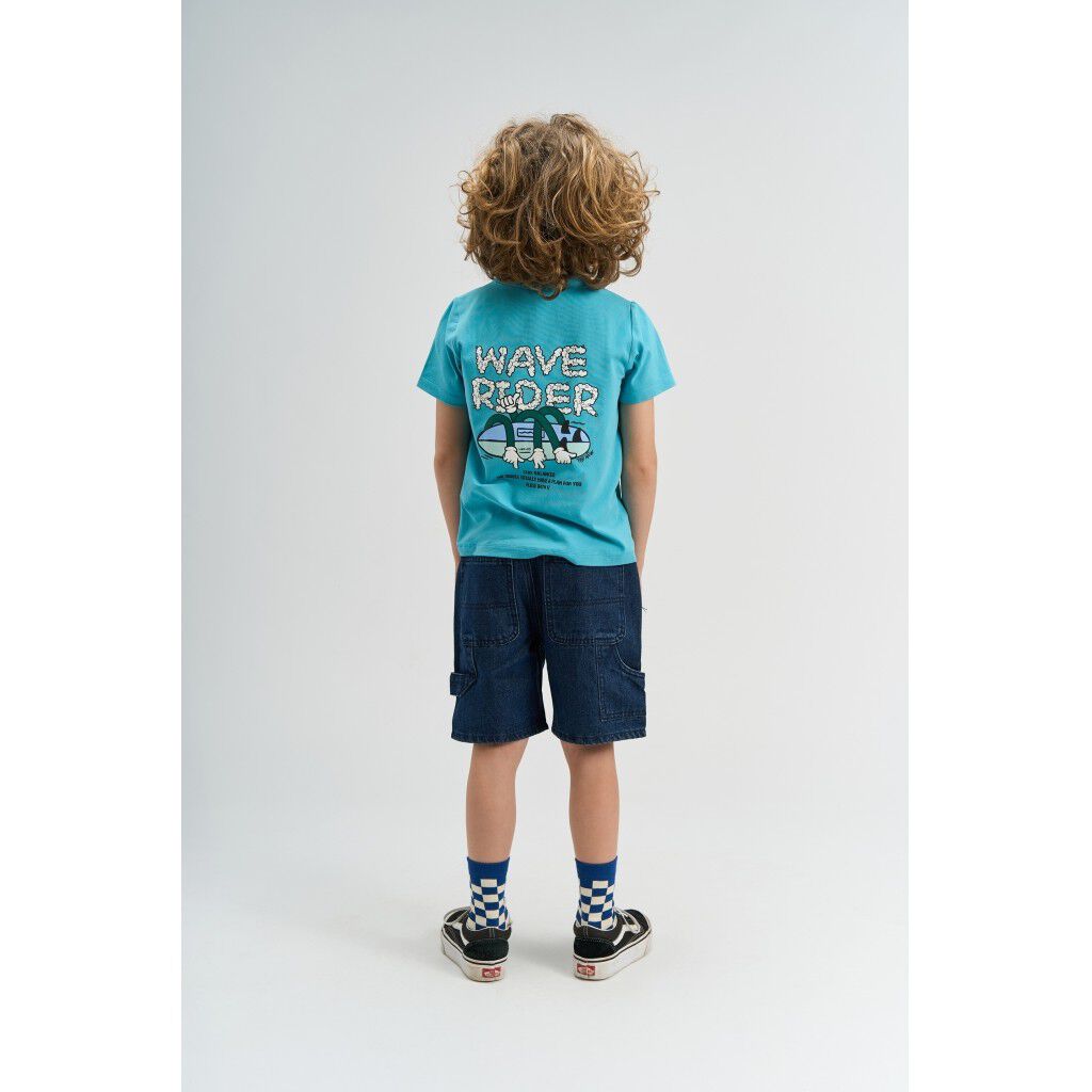 TNSavid Skate Shorts