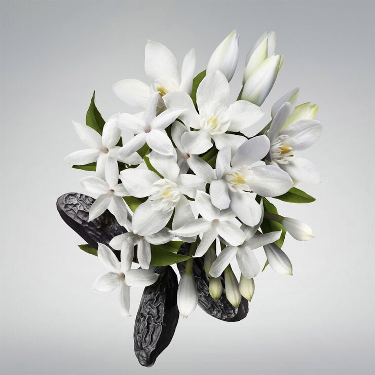 CAROLINA HERRERA Good Girl Showergel 200 ML