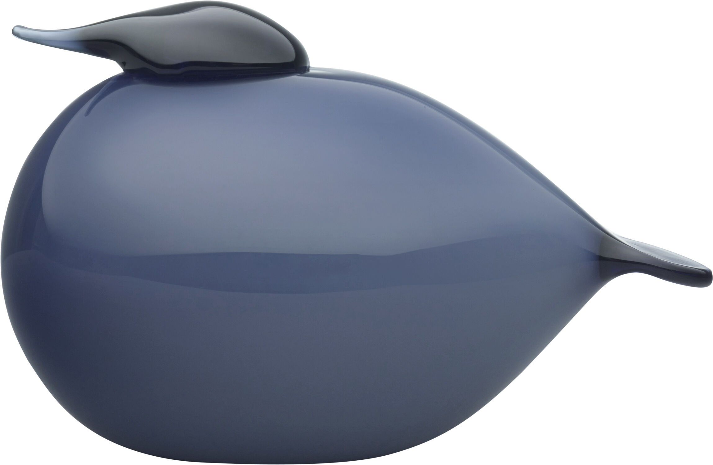 Fugle 14x9cm Regn Kuulas