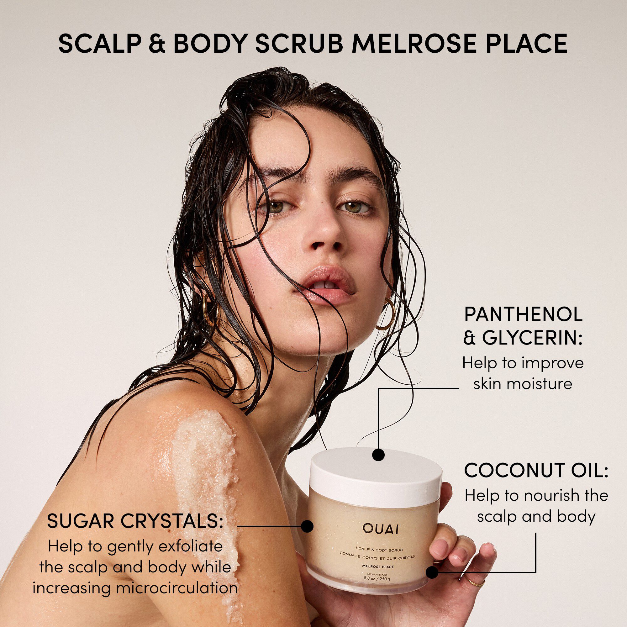 Merry On Melrose Holiday Kit 2025