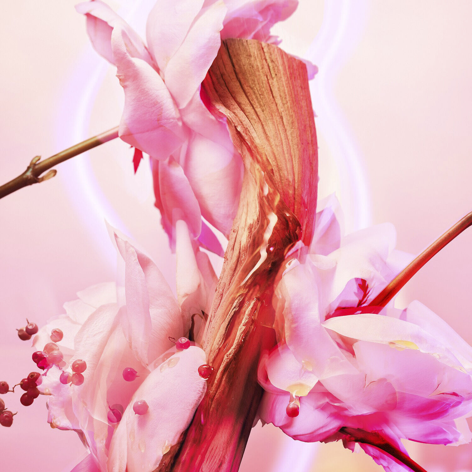 Love Frequency - Fragrance Collection of Emotions