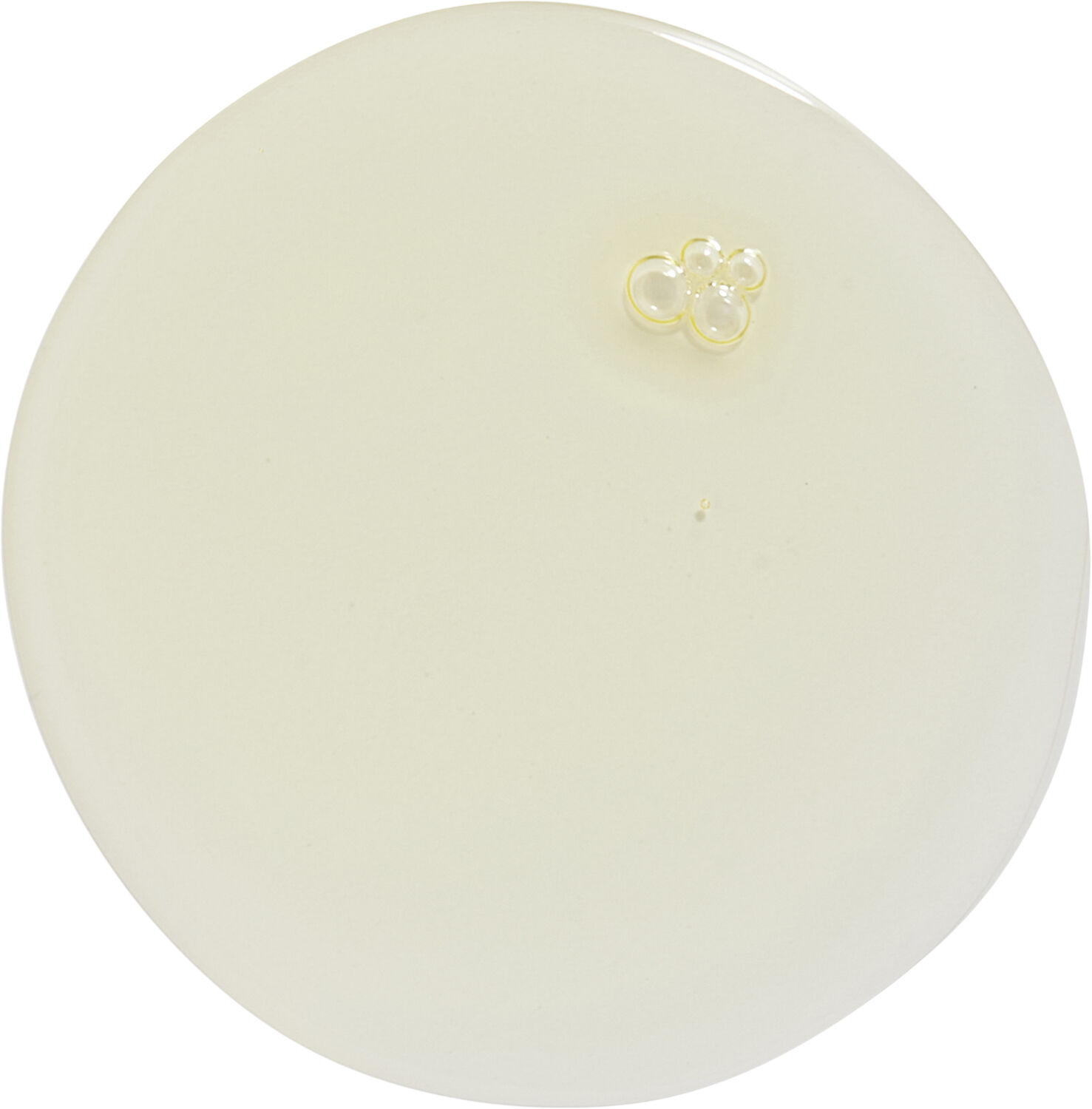 Revolution Haircare 8 4D Restore Oil