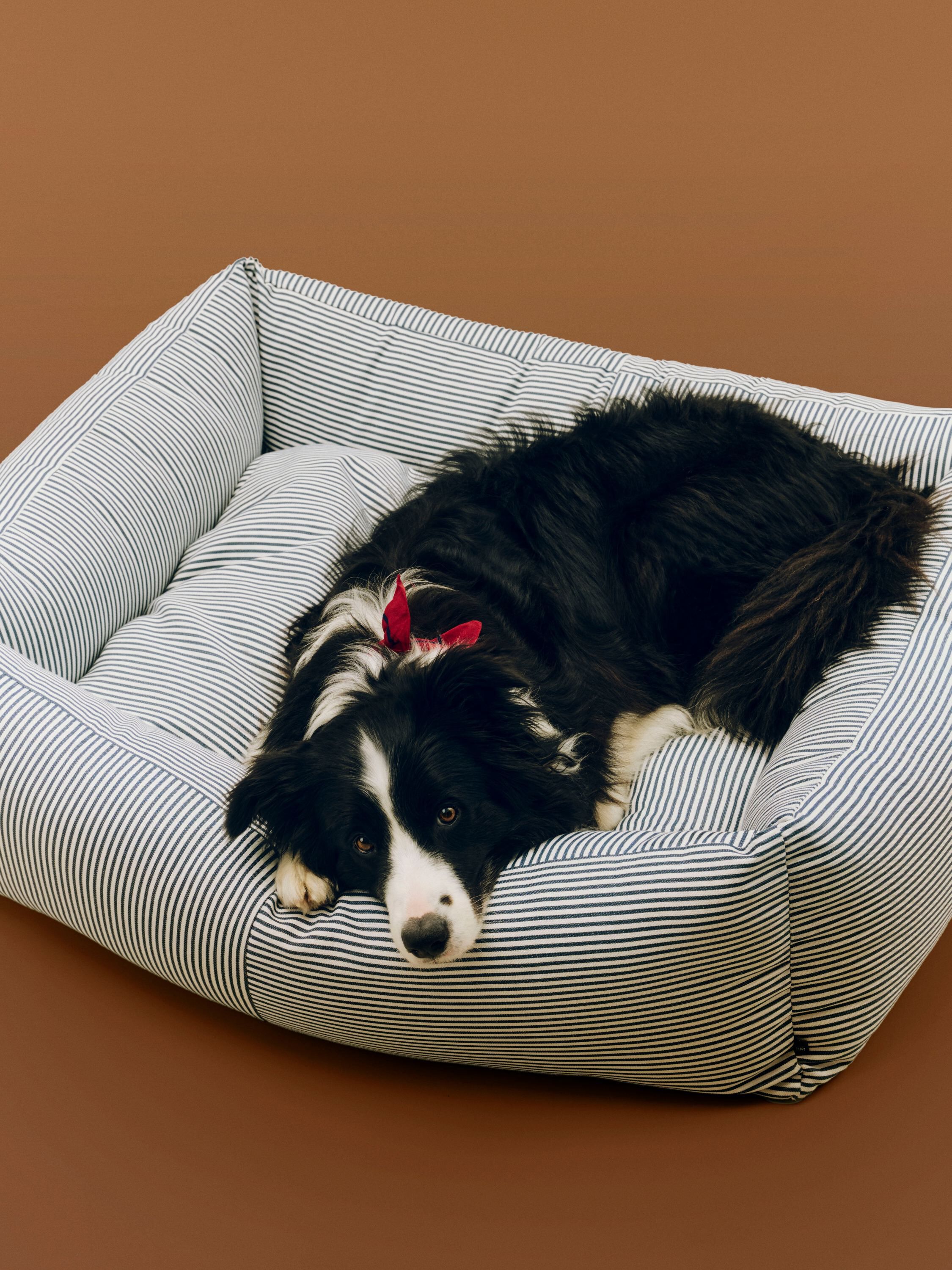 HAY Dogs Bed Zip-Large-Blue and whi