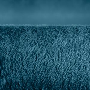 Beurer HD 75 Cozy Ocean Nytt Varmeteppe 180x130cm