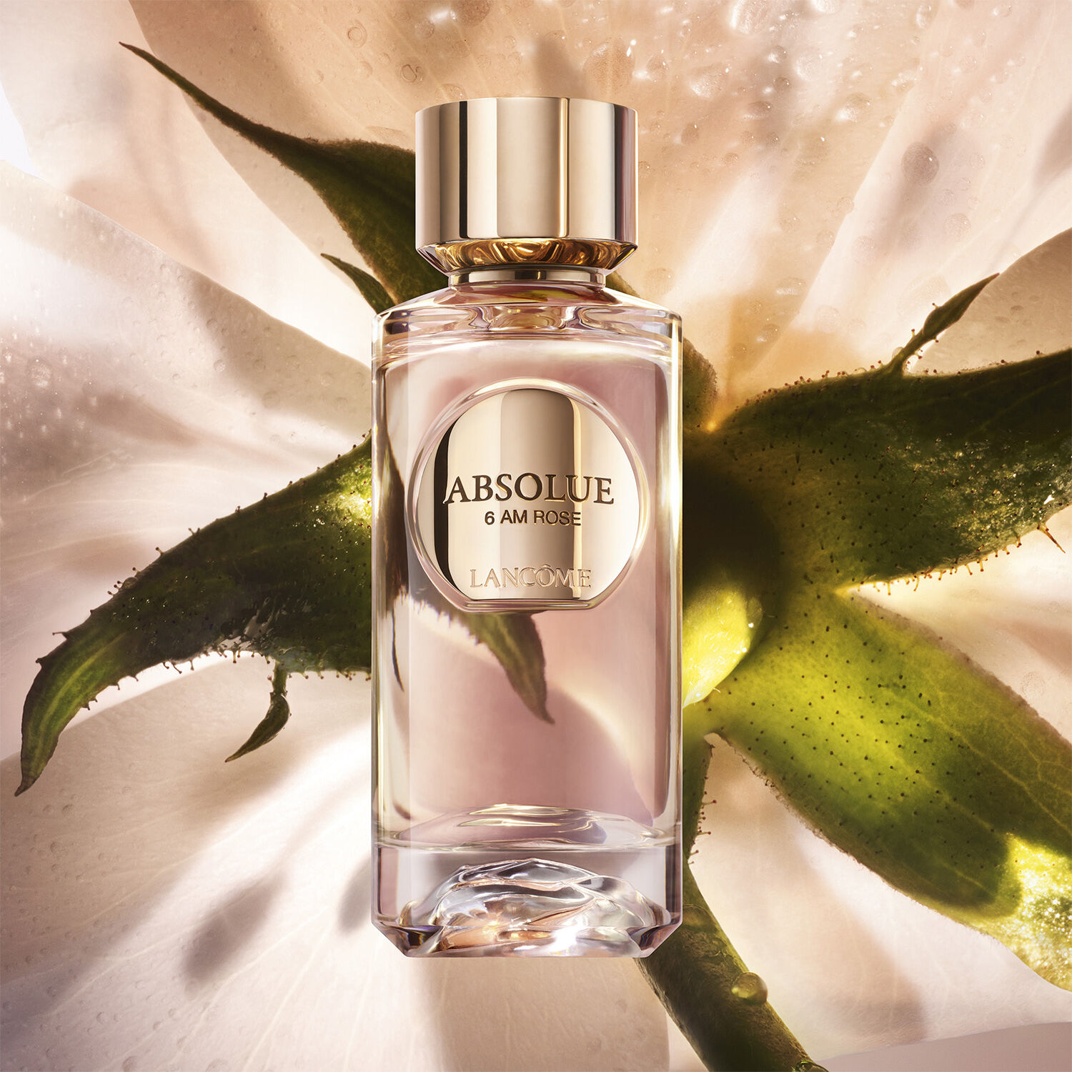 Absolue Les Parfums 6 AM ROSE Eau de Parfum