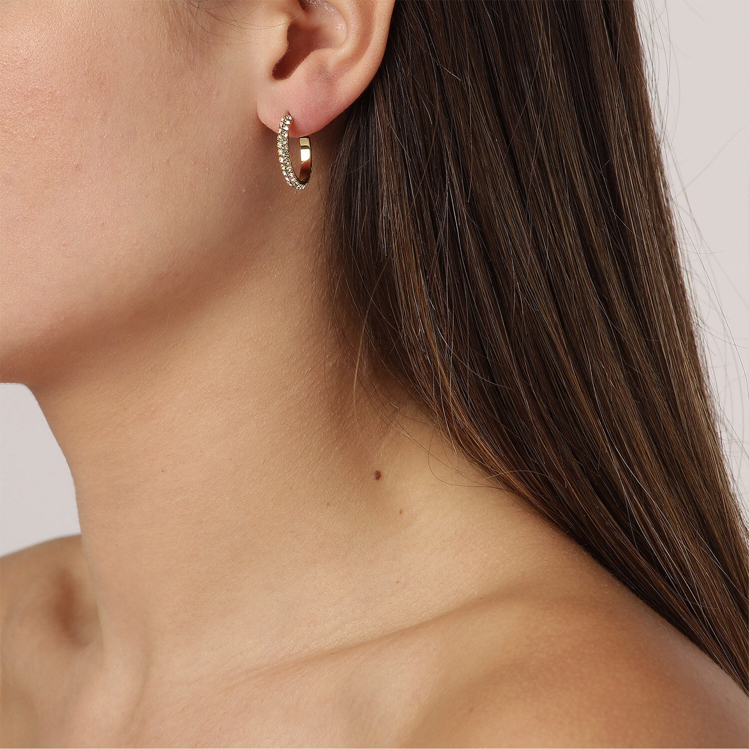 Hosta sg golden shadow