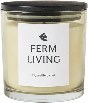 Vitto Scented Candle - H10 - Light Celedon