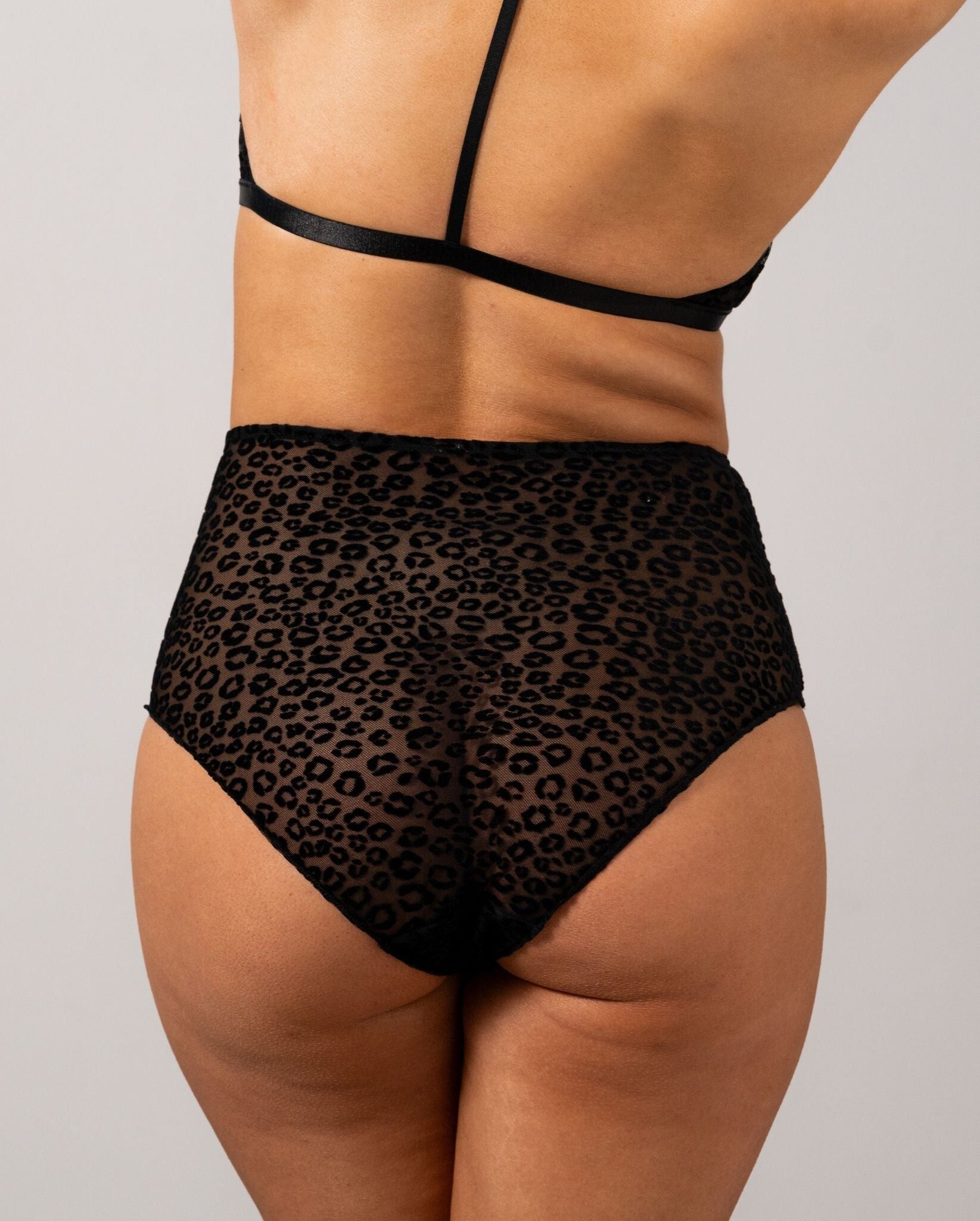 Mesh Highwaist Briefs