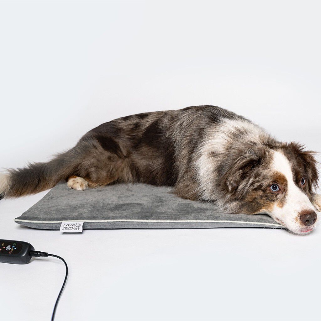 PetCare PP 220 Sammy Varmepute for kj&aelig;ledyr 65x50 cm