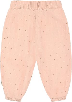 Hctrine Dotty" Does Not H