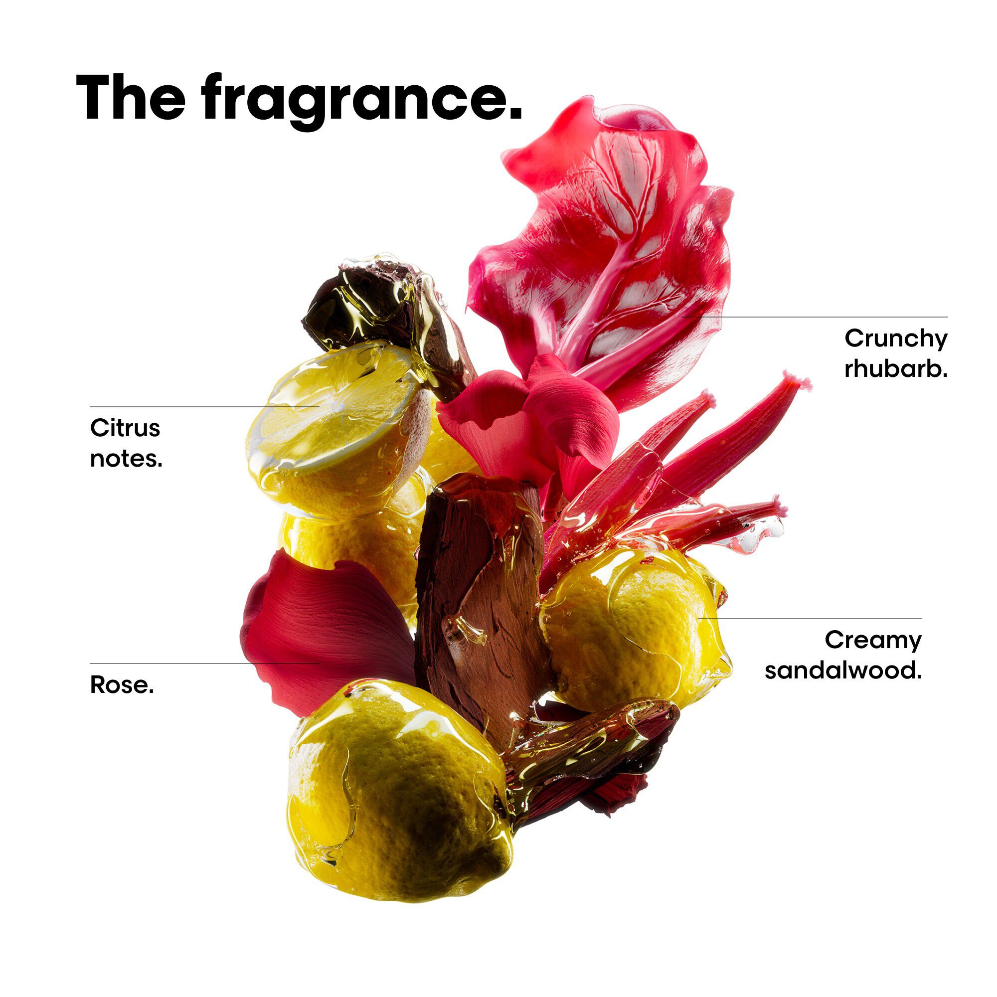 Vitamino Color Spectrum Shampoo Refill Pouch