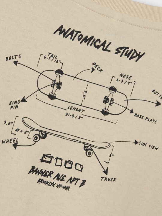 NMMLASSO NREG SS TOP