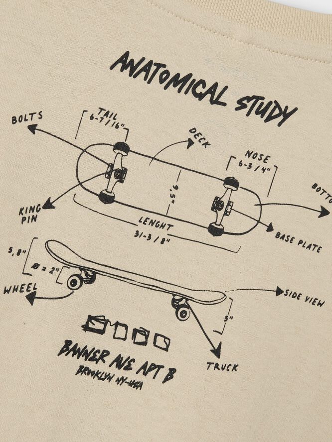 NMMLASSO NREG SS TOP