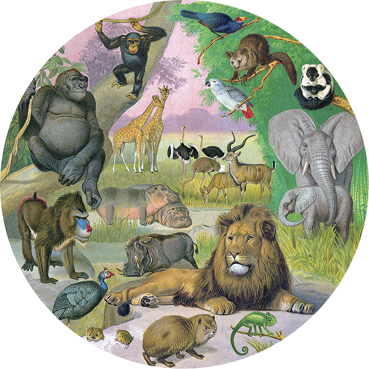 eeBoo - Rundt puslespil 1000 brk - Afrika