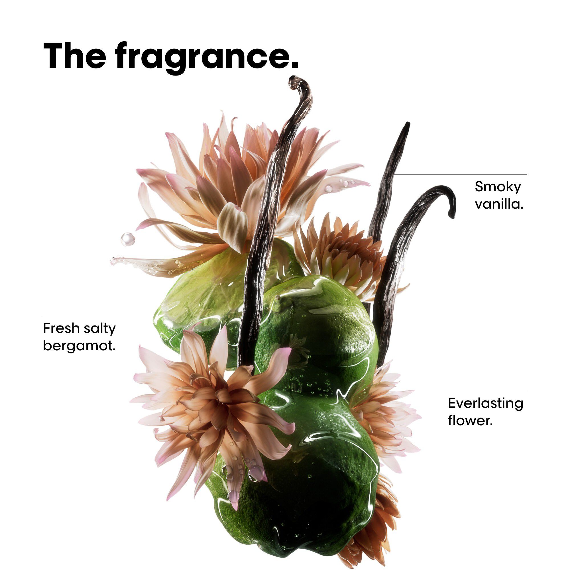 Absolut Repair Molecular Discovery Set Mini