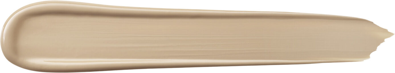 Teint Idole Ultra Wear All Over Concealer