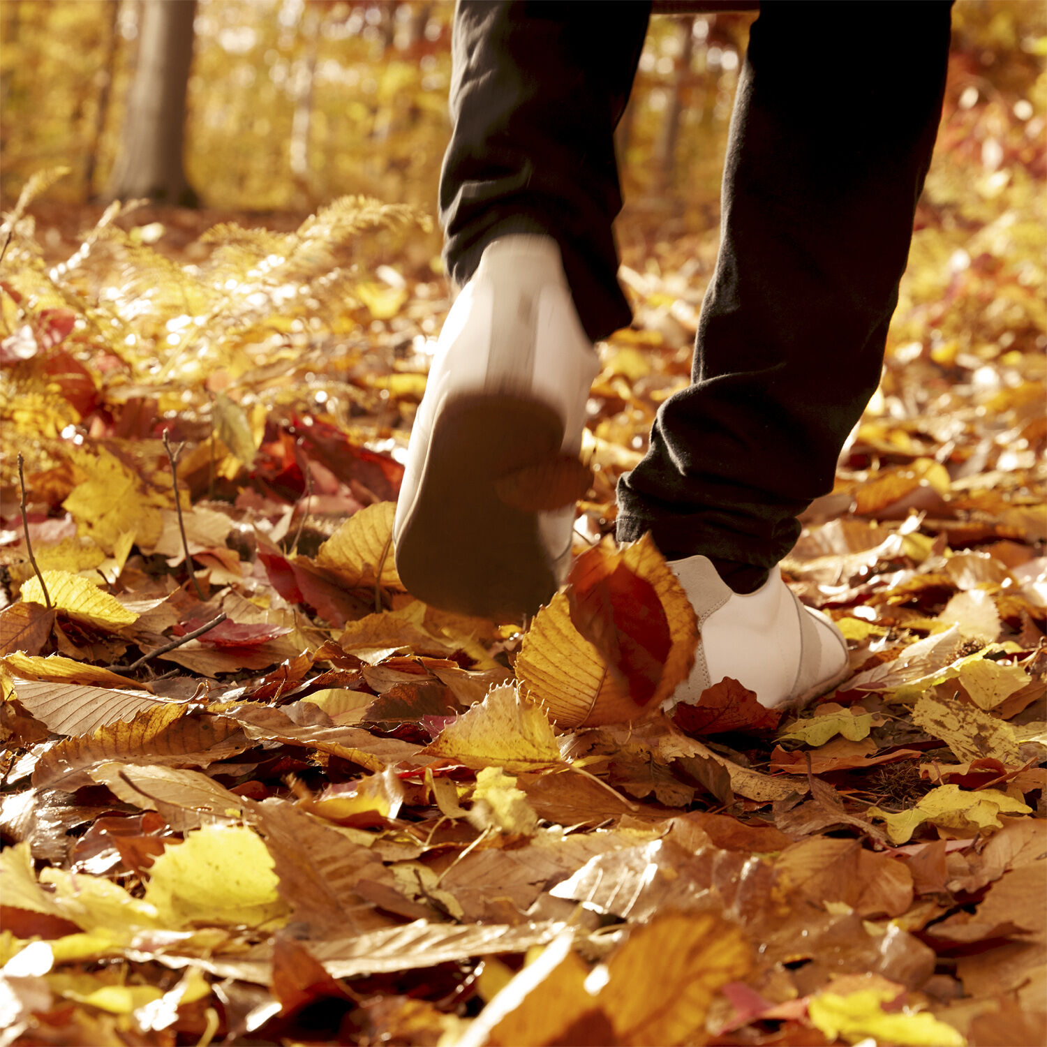 Maison Margiela Replica Autum Vibes Eau De Toilette