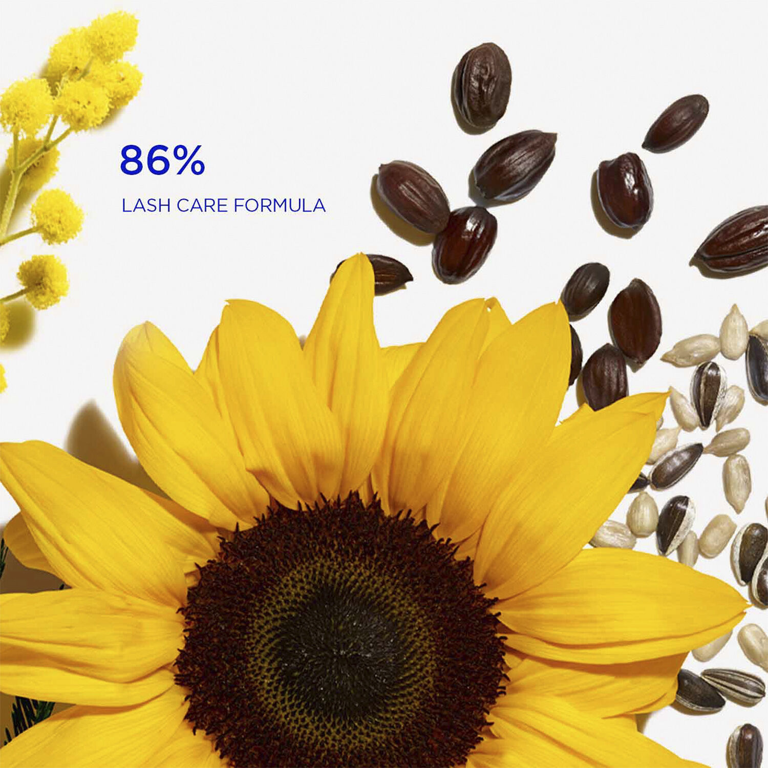 Wonder Volume Mascara XXL