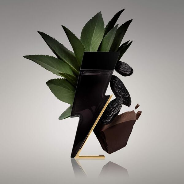 Carolien Herrera Bad Boy Eau de toilette