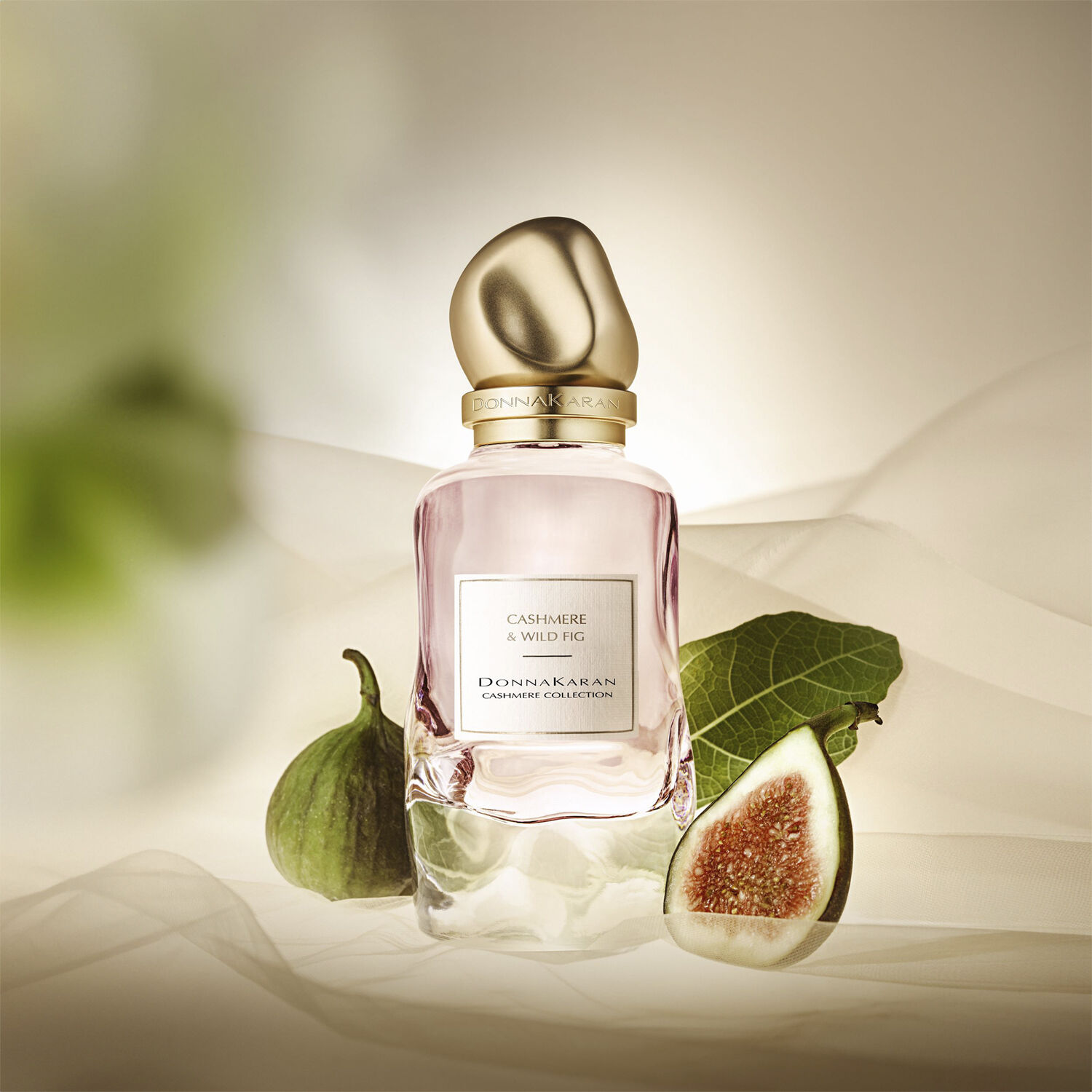 Cashmere Collection Eau de parfum wild fig 100 ML