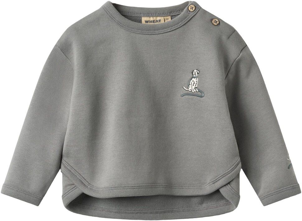 Sweatshirt L/S Abel