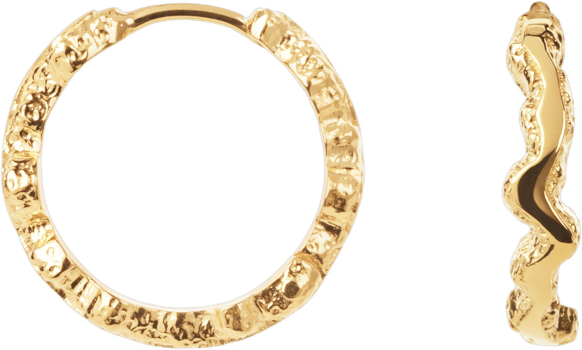 Small Shiny Sparkly Hoops