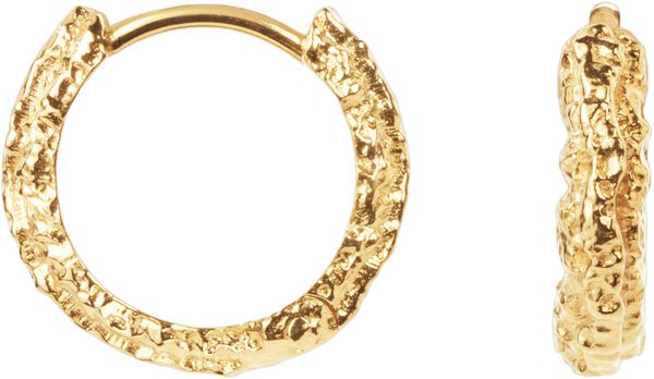 Small Sparkly Hoops