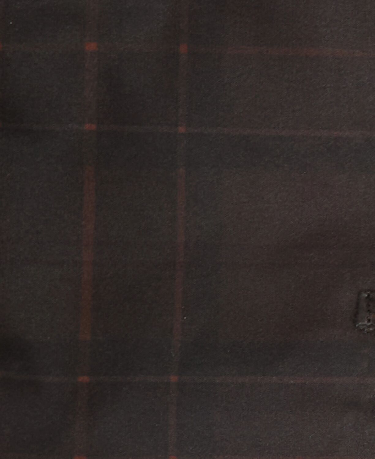 Barbour Tar Wax Dog