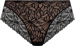CARENA BRIEF