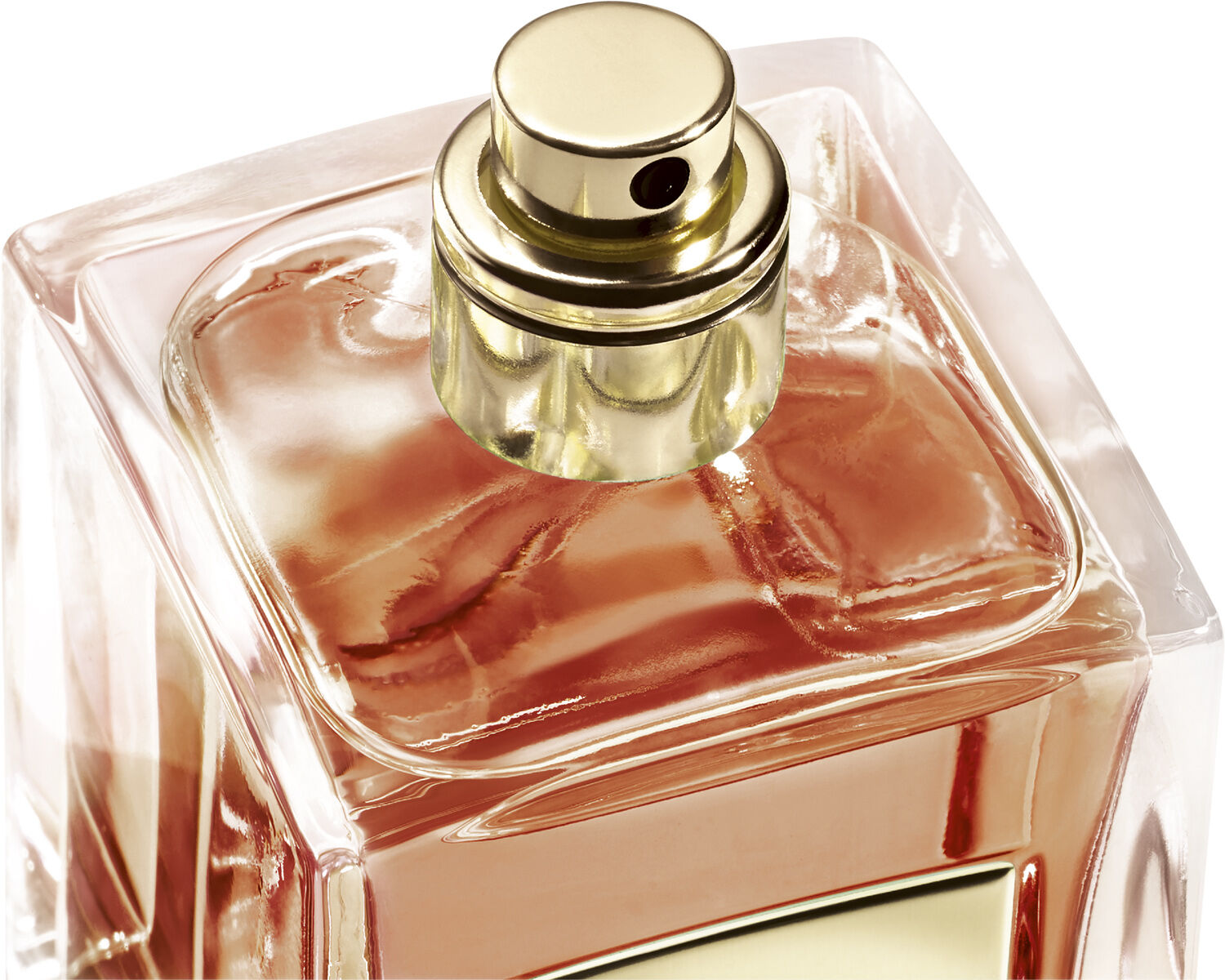 Armani Priv&eacute; Santal Dan Sha Eau de Toilette