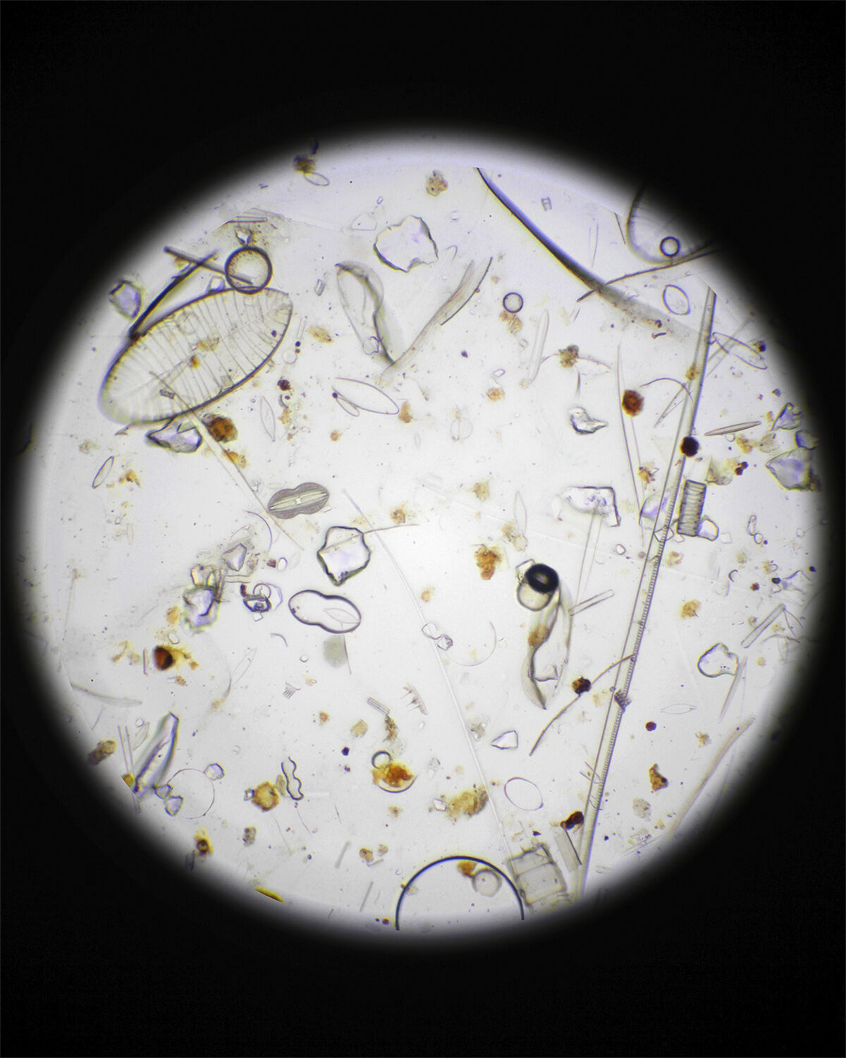 281 Protective Fluid CosN