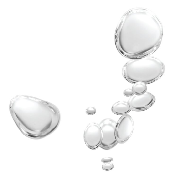 Black Pine Primus 6xHA Wrinkle Smoothing Youth Activator Boo