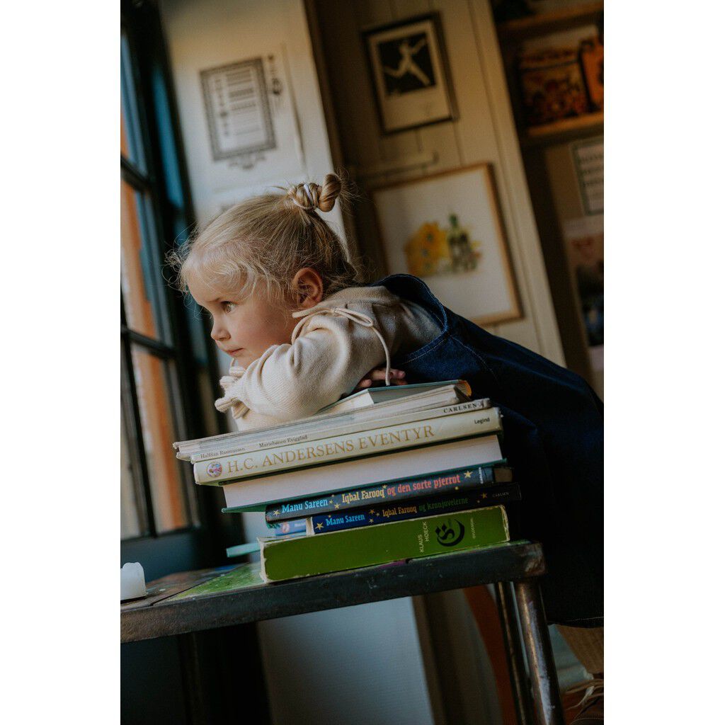 DON DENIM OVERALLDRESS