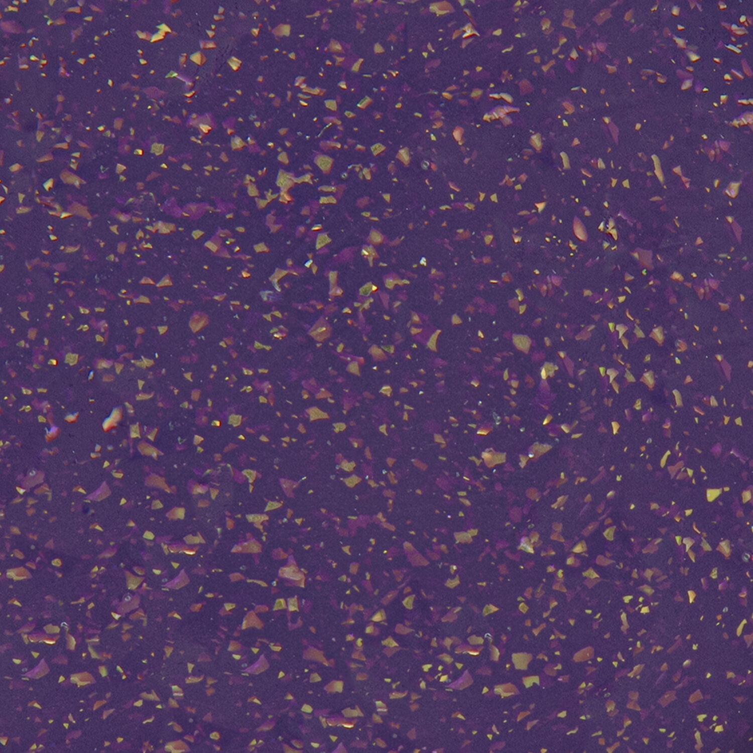 Infinte Shine - Head Shizstress