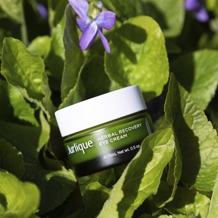Herbal Recovery Eye Cream