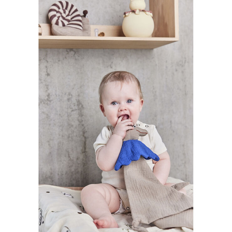 Hunsi Hund Nusseklud