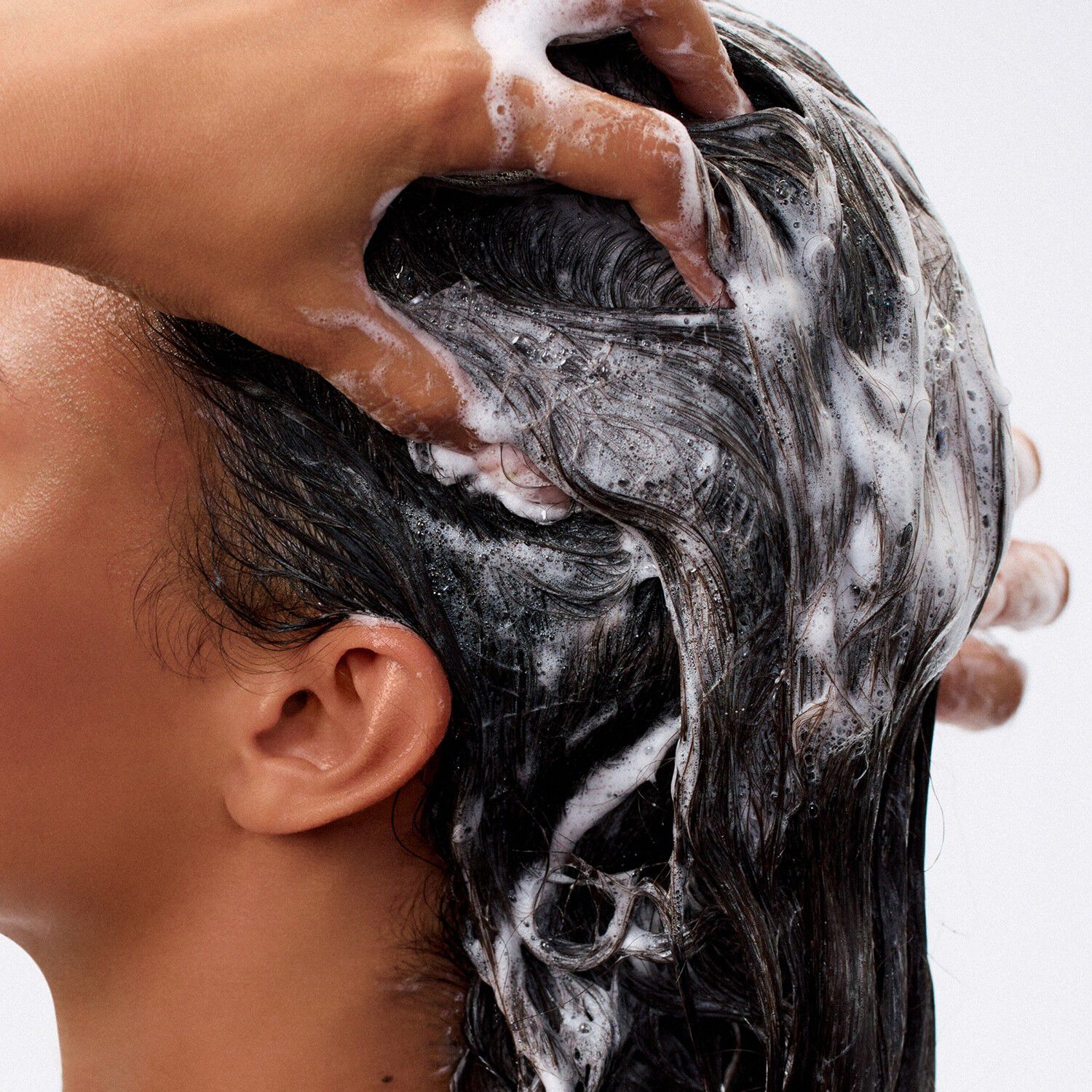 Tasmania Shampoo - Intensivt fugtgivende shampoo