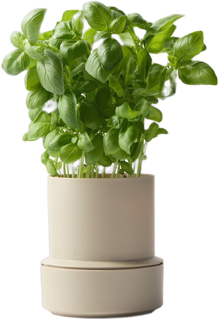 Billund self-watering pot, cumin