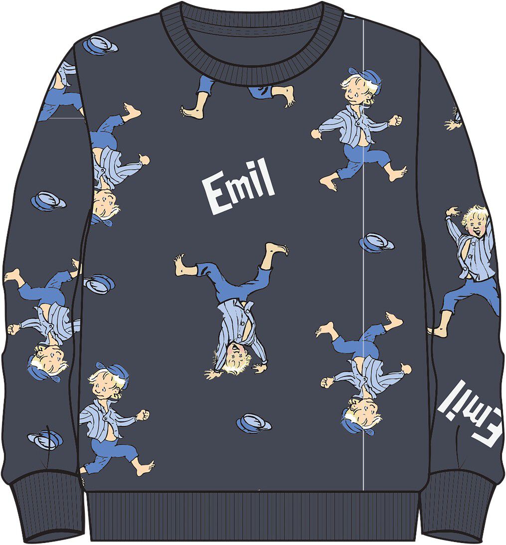 Nmmalfe Emil Nreg Sweat Bru Sky