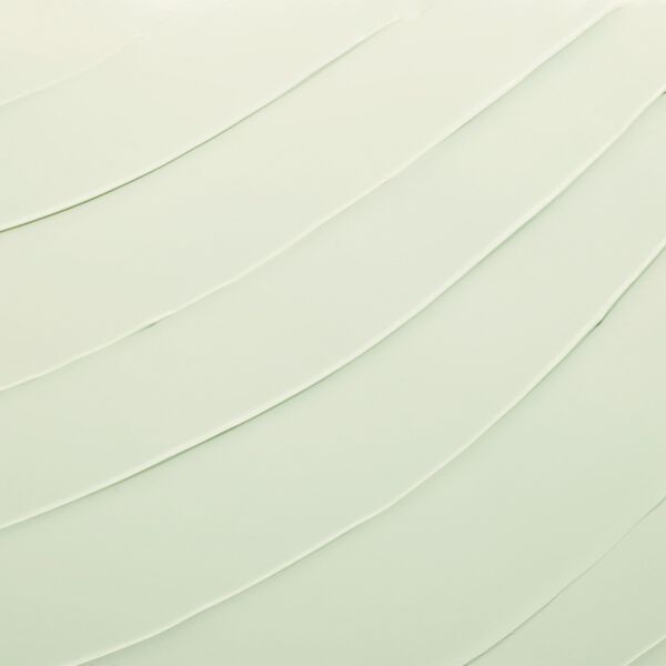 DayWear Anti-Oxidant Cream SPF 15