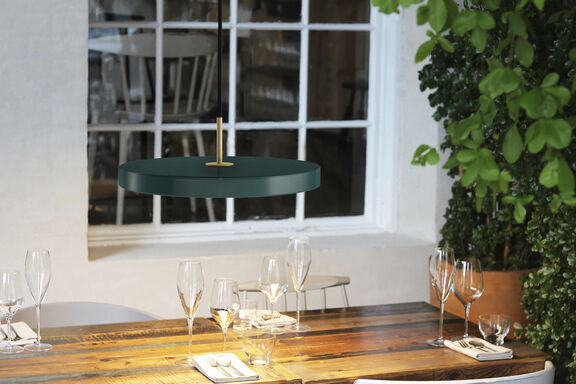 Asteria forest green &Oslash; 43 x 14 cm, 2. 7m cordset