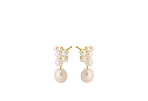 Ocean Treasure Earsticks