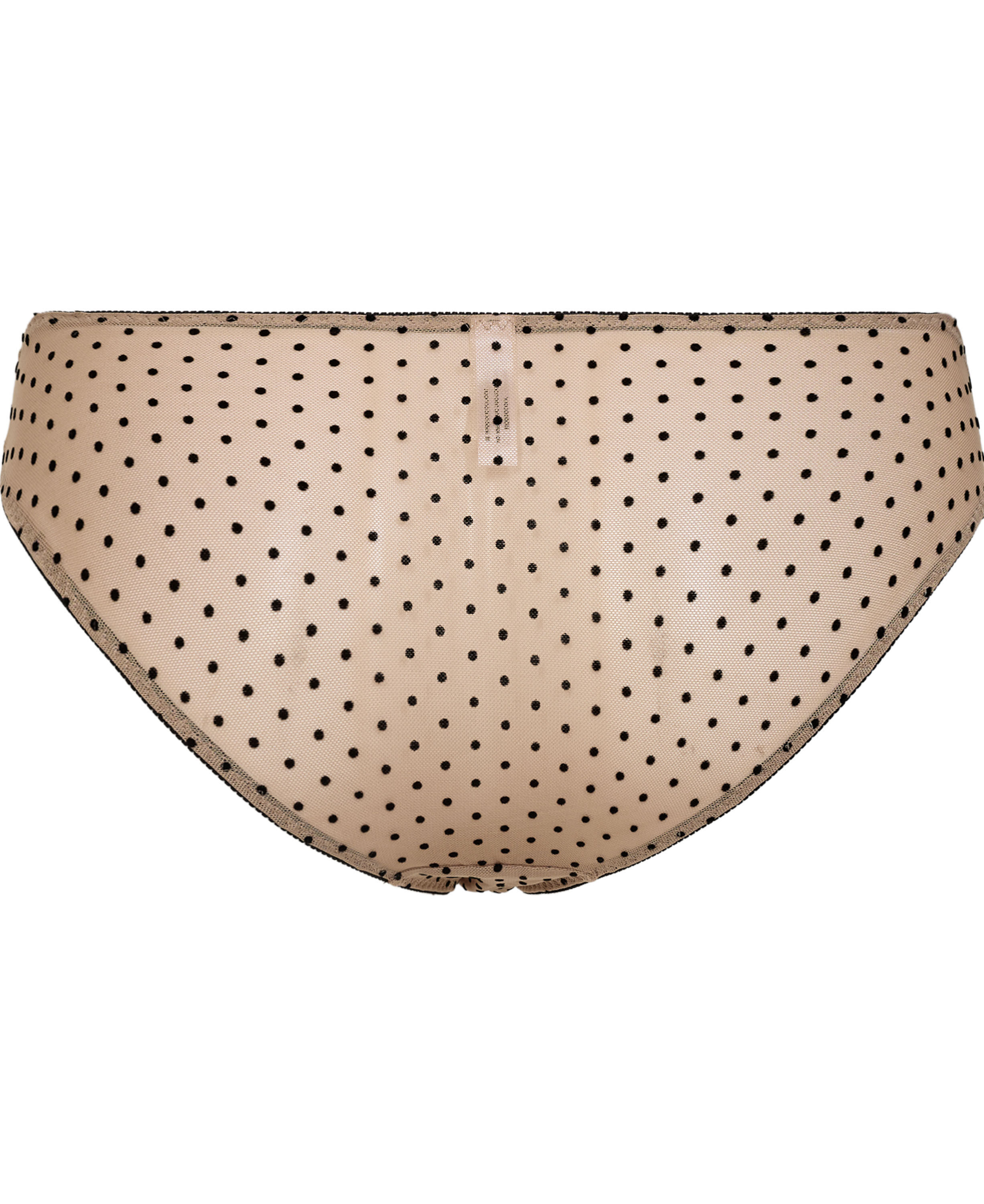 Filuca 2 Brief