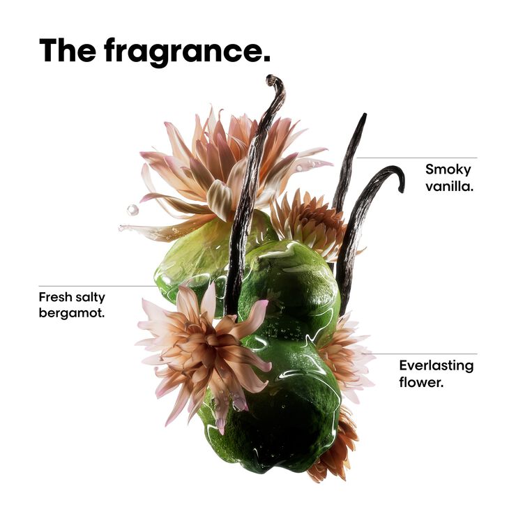 Absolut Repair Molecular Bi-phase Mini