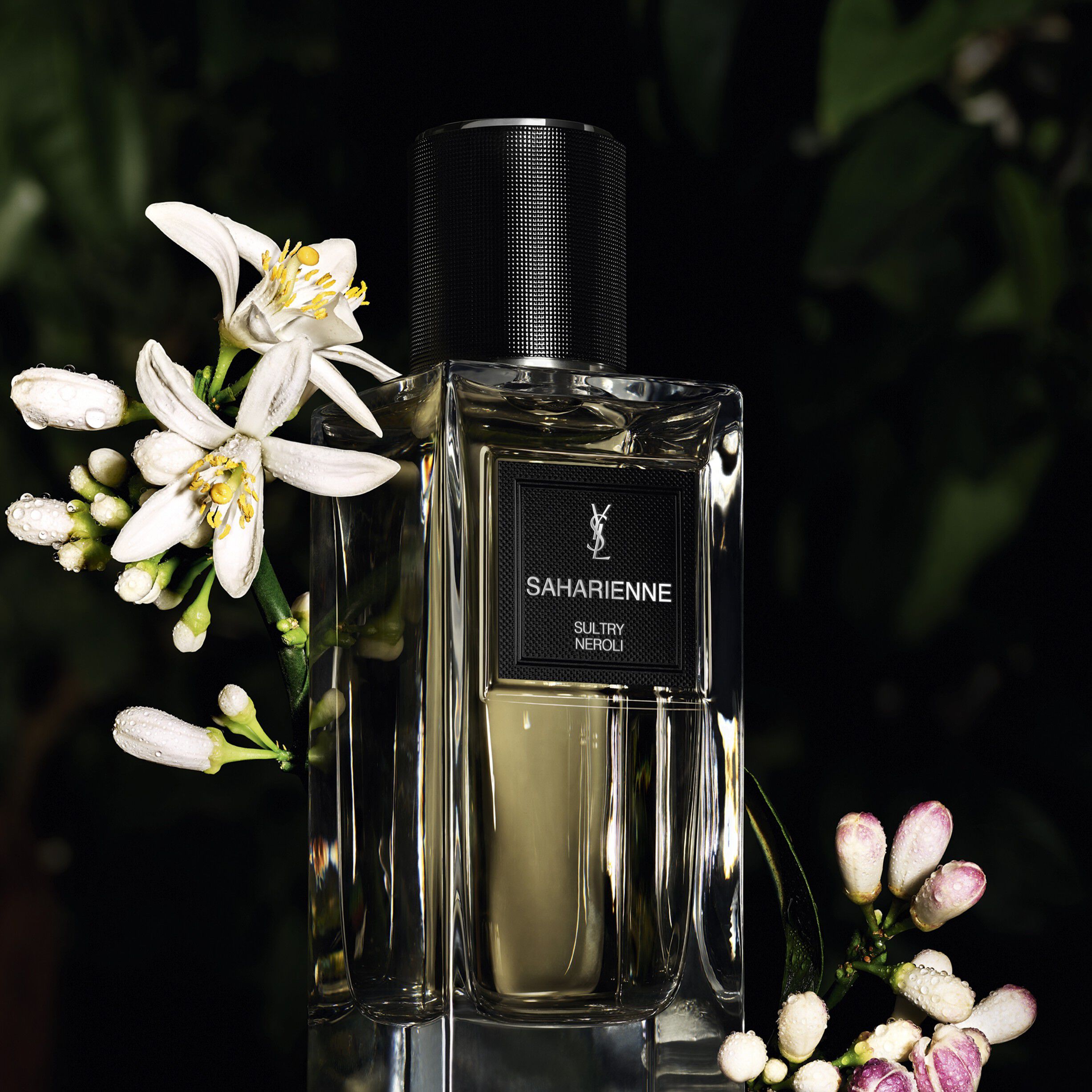 SAHARIENNE  - Le Vestiaire des Parfums